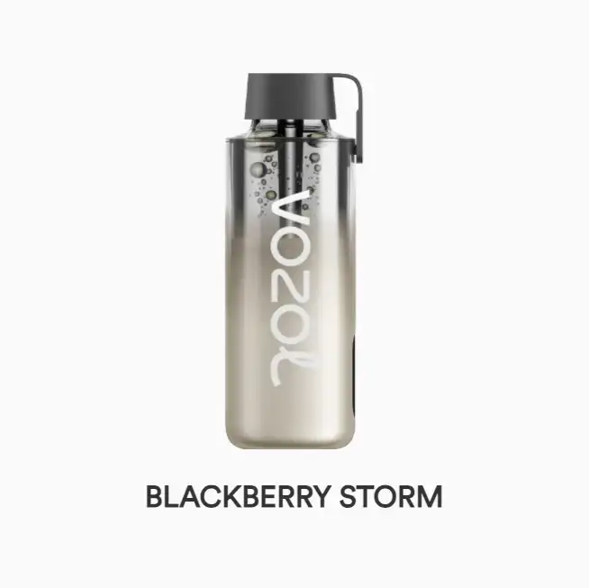 Vozol Neon 10000 - Blackberry Storm
