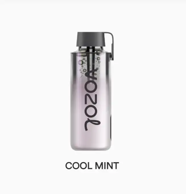 Vozol Neon 10000 - Cool Mint